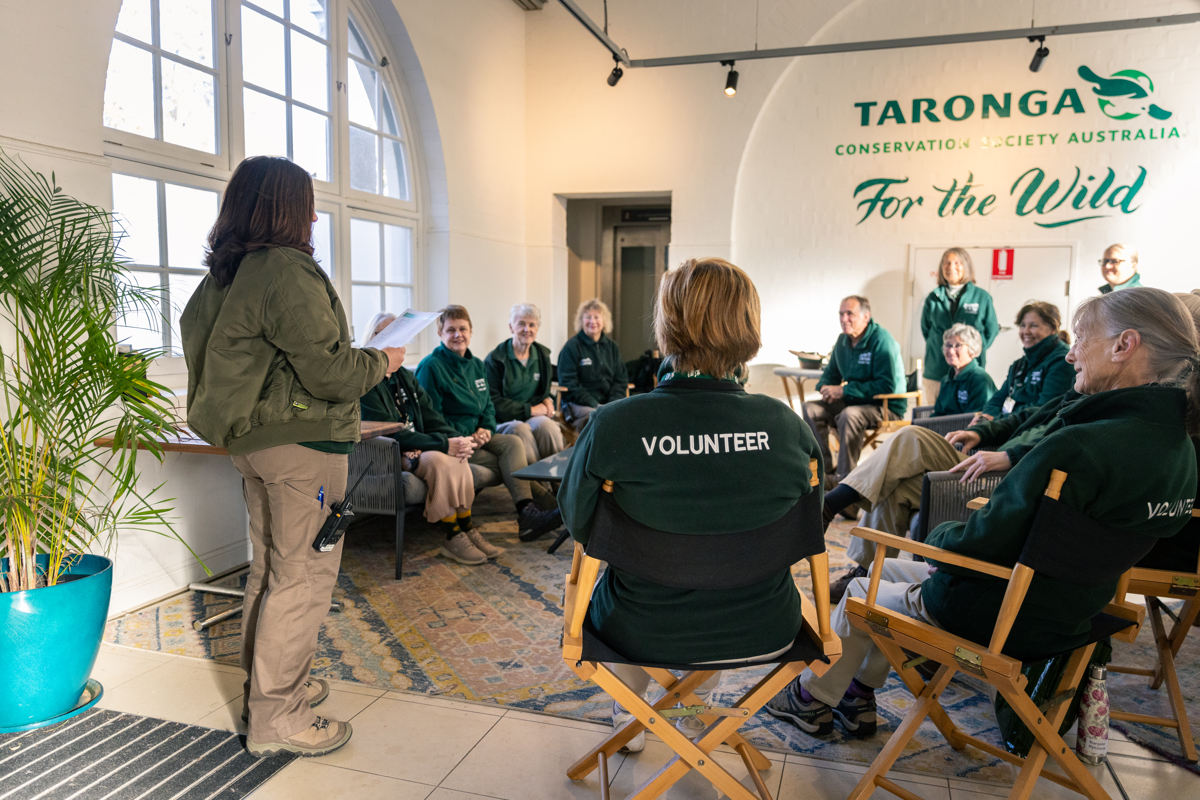 Group of Guest Experience Volunteers in briefing session