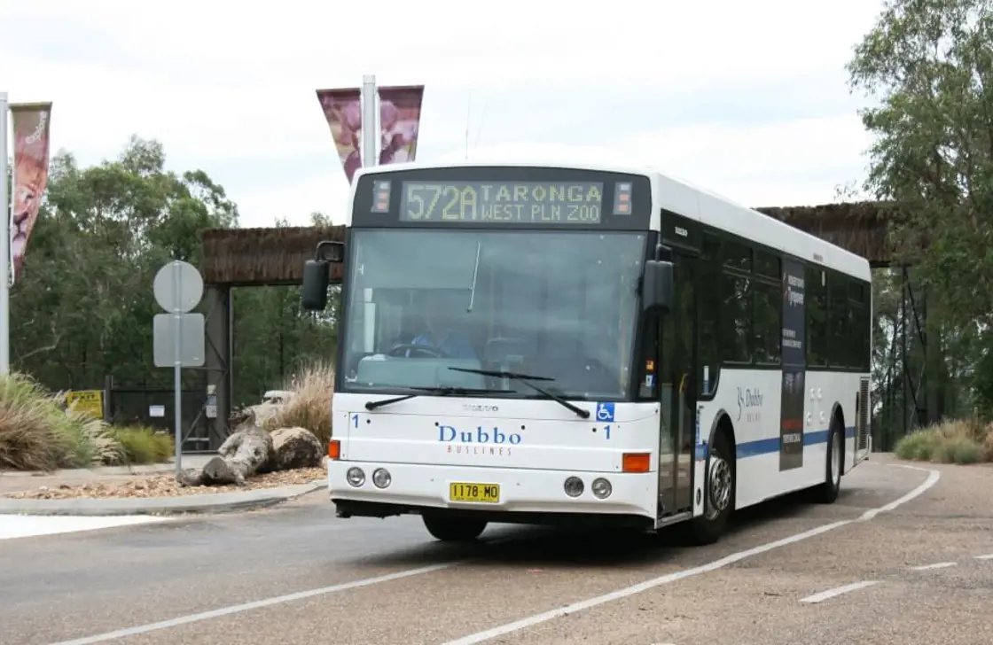 Bus driving on Zoo road at Taronga Western Plains Zoo