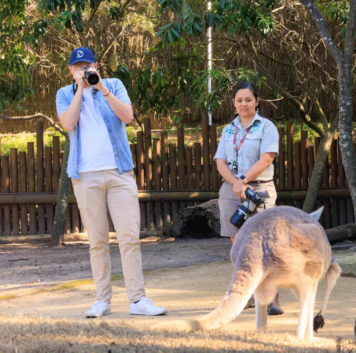Participants photographing a kangaroo during a wildlife photography course at a zoo.
