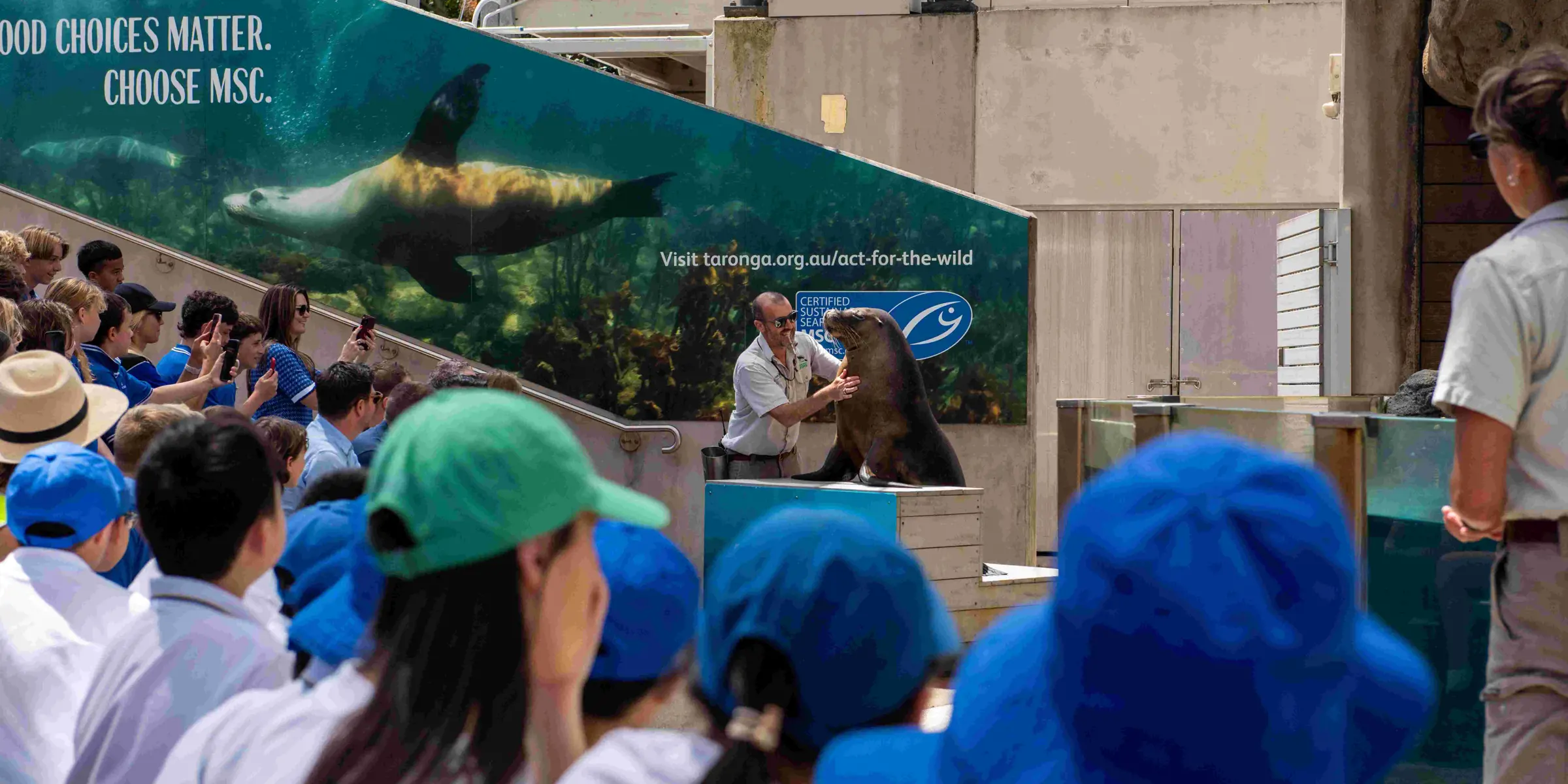 “School students attending an outdoor education presentationn with a Seals and conservation signage.”