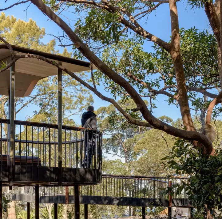 Guests overlooking Koalas at Koala Country in the Nura Diya Habitat